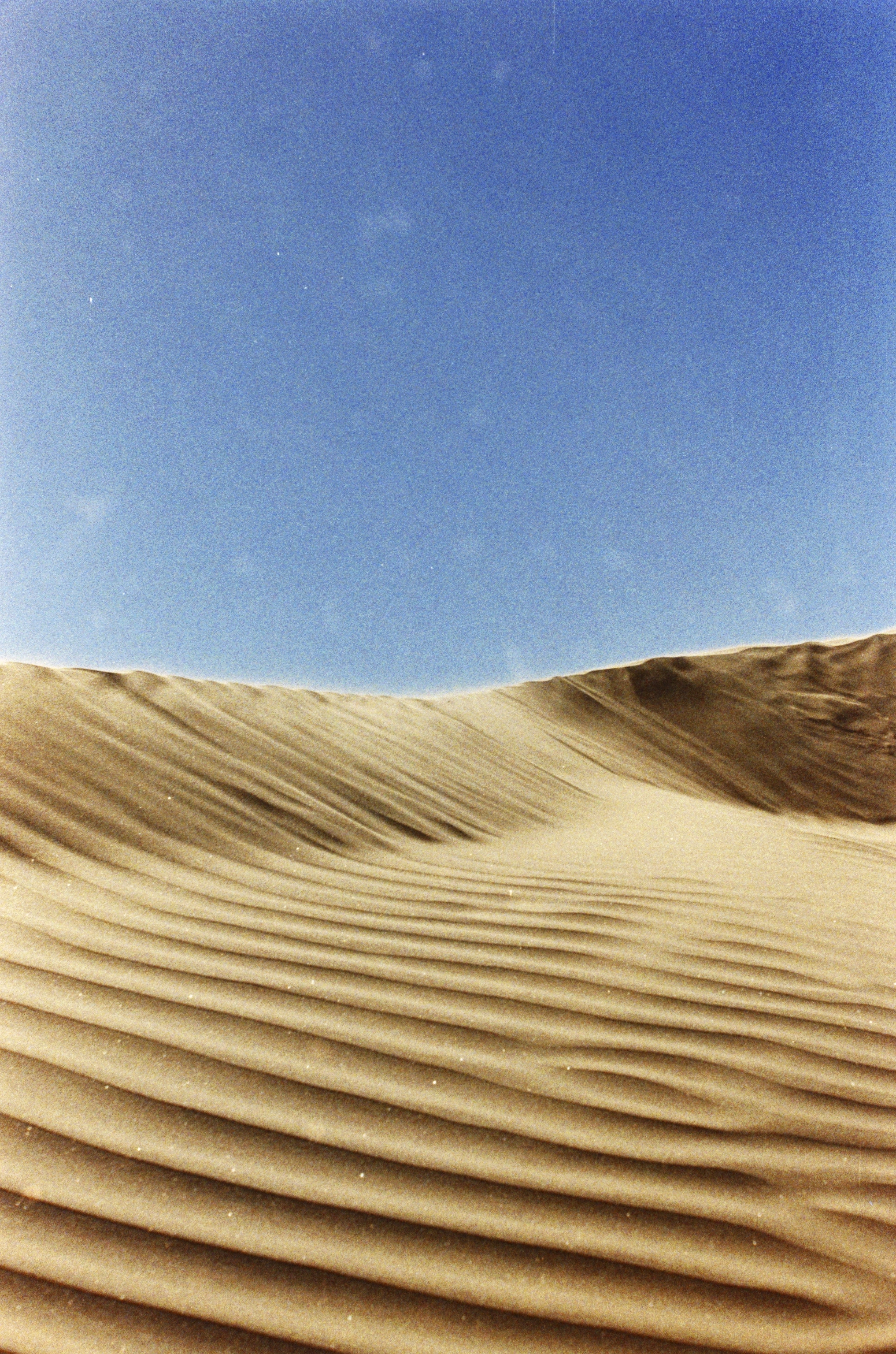 Bahia de Magdalena (2026)